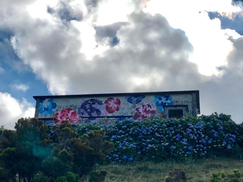 Mural Project, Flores Island, Azorean, Portugal
